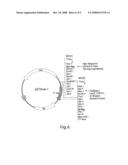 System for screening eukaryotic membrane proteins diagram and image