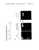 FUNCTIONAL POLYMORPHISMS OF THE INTERLEUKIN-1 LOCUS AFFECTING TRANSCRIPTION AND SUSCEPTIBILITY TO INFLAMMATORY AND INFECTIOUS DISEASES diagram and image