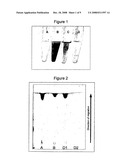 Modified Cardiolipin and Uses Therefor diagram and image