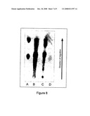 Modified Cardiolipin and Uses Therefor diagram and image