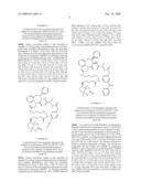 Novel Molecular Probes diagram and image