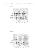 Antibody Binding Affinity Ligands diagram and image