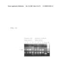 MUTATED AQP, METHOD FOR DETECTING CANCER USING THE SAME, DNA CHIP HAVING OLIGONUCLEOTIDES OF SAID MUTATED AQP SEQUENCE diagram and image