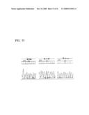 MUTATED AQP, METHOD FOR DETECTING CANCER USING THE SAME, DNA CHIP HAVING OLIGONUCLEOTIDES OF SAID MUTATED AQP SEQUENCE diagram and image