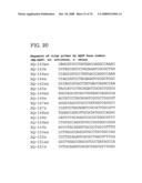 MUTATED AQP, METHOD FOR DETECTING CANCER USING THE SAME, DNA CHIP HAVING OLIGONUCLEOTIDES OF SAID MUTATED AQP SEQUENCE diagram and image