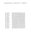 MUTATED AQP, METHOD FOR DETECTING CANCER USING THE SAME, DNA CHIP HAVING OLIGONUCLEOTIDES OF SAID MUTATED AQP SEQUENCE diagram and image