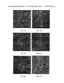 Microarray, System, and Method for Detecting, Identifying, and Quantitating Micro-Rnas diagram and image