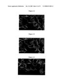 Glycogen synthase kinase-3 inhibitors diagram and image