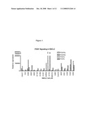 Biological markers predictive of anti-cancer response to kinase inhibitors diagram and image