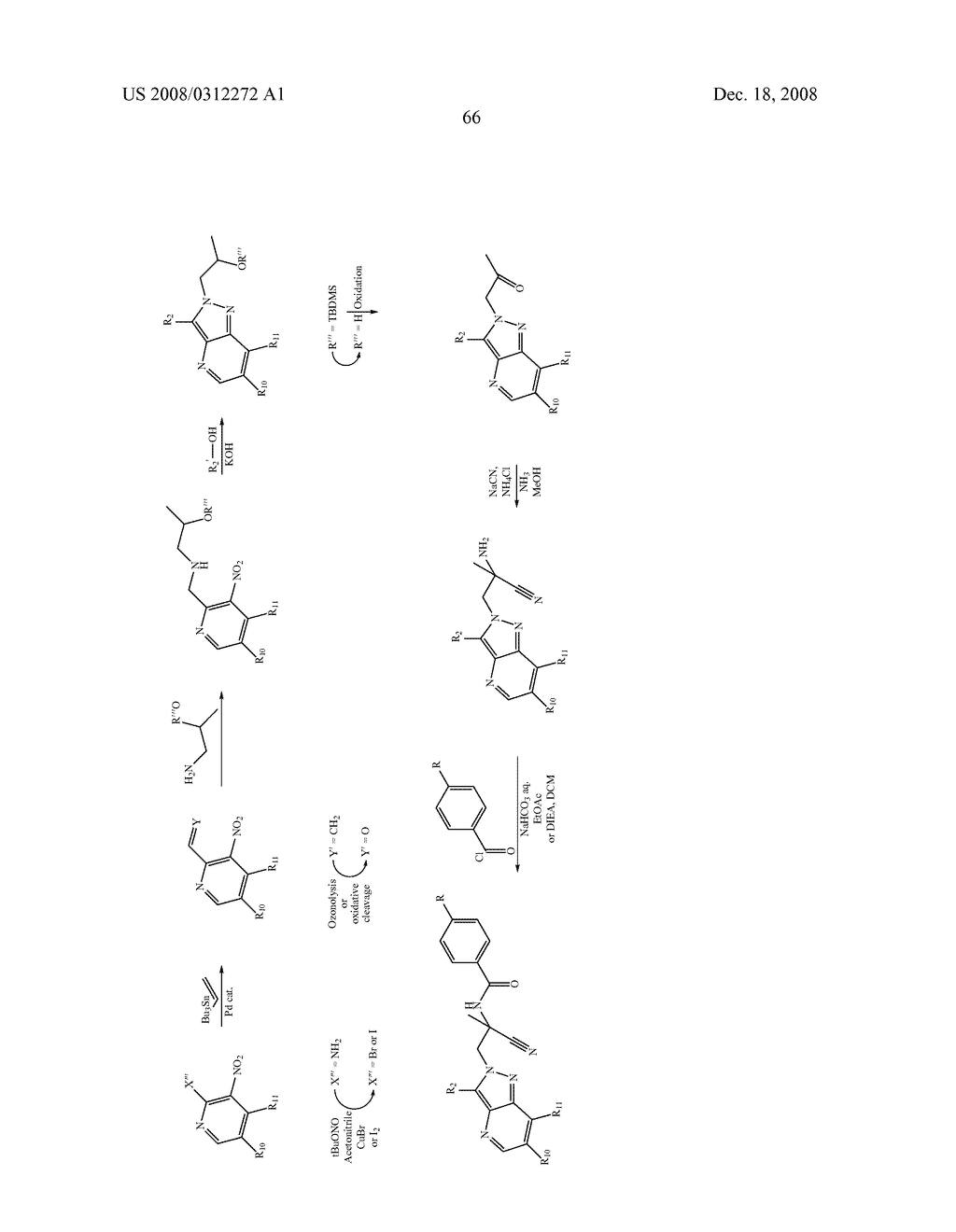 ARYLOAZOL-2-YL CYANOETHYLAMINO COMPOUNDS, METHOD OF MAKING AND METHOD OF USING THEREOF - diagram, schematic, and image 67