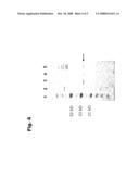 Use of Activated Polymers for Separation of Protein and Polypeptide Multimers diagram and image