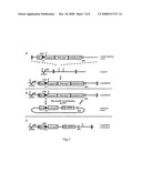 Targeted Transgenesis of Short Hairpin Rna Expression Cassettes Using Recombinase Mediated Cassette Exchange diagram and image