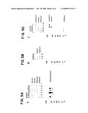 Method for generating hypermutable organisms diagram and image