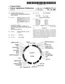 The Rice Bentazon and Sulfonylurea Herbicide Resistant Gene Cyp81a6 diagram and image