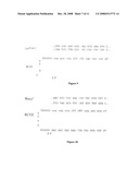 The Rice Bentazon and Sulfonylurea Herbicide Resistant Gene Cyp81a6 diagram and image