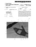 Gripping mitt system for water sports diagram and image