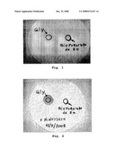 Salts of Mineral Nutrients Stabilized With Amino Acids and/or Ammonium Salt, Products and Food Supplement That Contain Them and Procedures of Obtention diagram and image