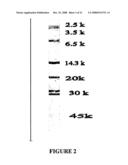 Electrophoretic Separation of Analytes by Molecular Mass diagram and image