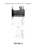 Electrophoretic Separation of Analytes by Molecular Mass diagram and image