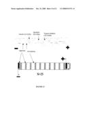 Electrophoretic Separation of Analytes by Molecular Mass diagram and image