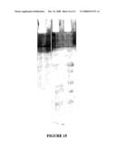 Electrophoretic Separation of Analytes by Molecular Mass diagram and image