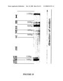 Electrophoretic Separation of Analytes by Molecular Mass diagram and image