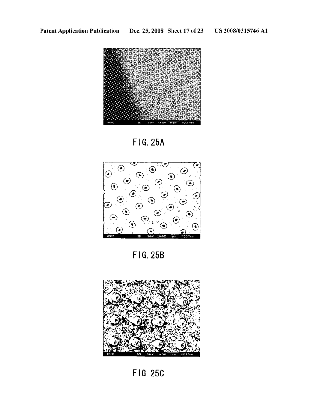 Method of Manufacturing Fine Structure, Fine Structure, Display Unit, Method of Manufacturing Recoding Device, and Recoding Device - diagram, schematic, and image 18