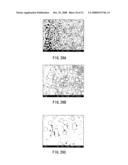 Method of Manufacturing Fine Structure, Fine Structure, Display Unit, Method of Manufacturing Recoding Device, and Recoding Device diagram and image