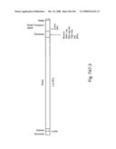 Computing system capable of parallelizing the operation of multiple graphics processing pipelines (GPPLS) supported on a multi-core CPU chip, and employing a software-implemented multi-mode parallel graphics rendering subsystem diagram and image