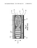 POLYMER-DISPERSED LIQUID CRYSTAL STRUCTURES diagram and image