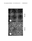 SYSTEM AND METHOD FOR THE DEPOSITION, IMAGING, DETECTION AND IDENTIFICATION OF THREAT AGENTS diagram and image