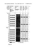 FILTER STRUCTURE FOR ITERATIVE SIGNAL PROCESSING diagram and image