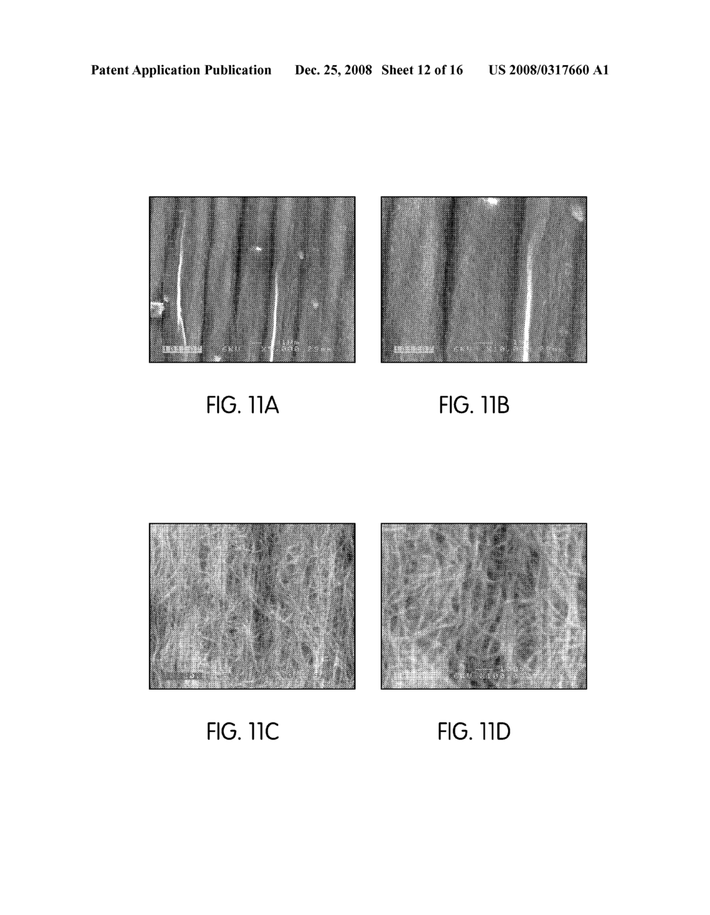 Nanotube Structures, Materials, and Methods - diagram, schematic, and image 13