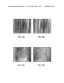 Nanotube Structures, Materials, and Methods diagram and image