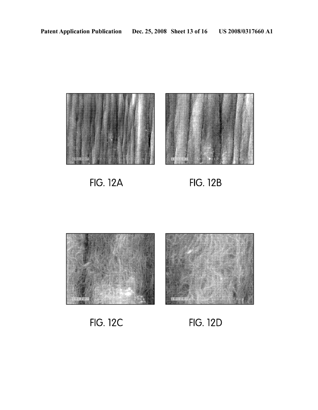 Nanotube Structures, Materials, and Methods - diagram, schematic, and image 14