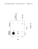 Compositions and methods for inhibiting growth of smad4-deficient cancers diagram and image