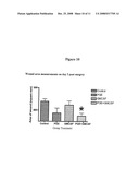 Promoting Wound Healing by Administering a Prostaglandin E and Granulocyte-Macrophage Colony Stimulating Factor diagram and image