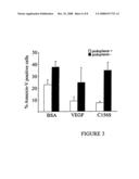 LYMPHATIC ENDOTHELIAL CELLS MATERIALS AND METHODS diagram and image