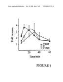 LYMPHATIC ENDOTHELIAL CELLS MATERIALS AND METHODS diagram and image