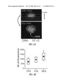 Micropatterned T cell stimulation diagram and image