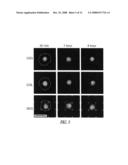 Micropatterned T cell stimulation diagram and image