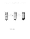 Phospholipases, Nucleic Acids Encoding Them and Methods for Making and Using Them diagram and image