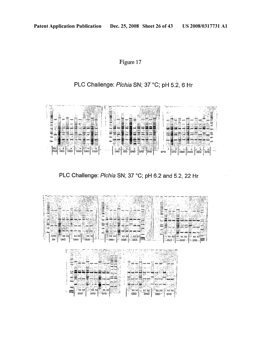 Phospholipases, Nucleic Acids Encoding Them and Methods for Making and Using Them - diagram, schematic, and image 27