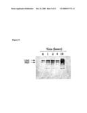 Amyloid Peptide Inactivating Enzyme to Treat Alzheimer s Disease Peripherally diagram and image