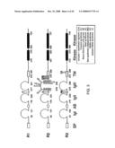 Method for Treating Skeletal Disorders Resulting from Fgfr Malfunction diagram and image