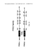 Method for Treating Skeletal Disorders Resulting from Fgfr Malfunction diagram and image