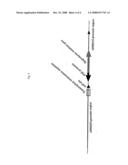 Human Artificial Chromosome Containing Human Antibody Lambda Light Chain Gene And Non-Human Animal Containing The Human Artificial Chromosome Capable Of Genetic Transmission diagram and image