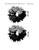 Polypeptide variants with altered effector function diagram and image