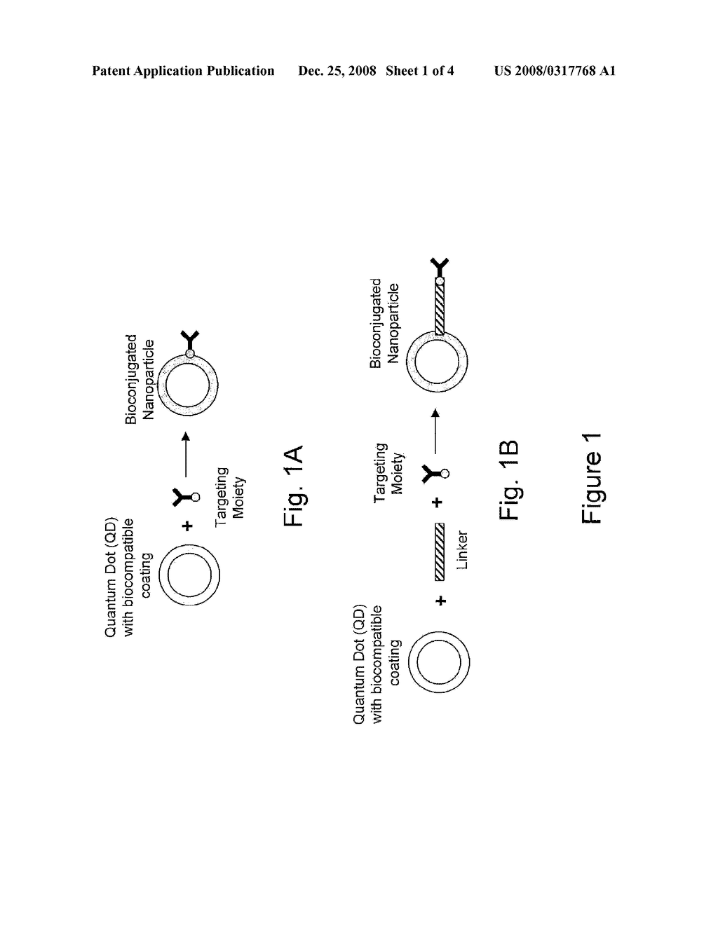 BIOCONJUGATED NANOPARTICLES - diagram, schematic, and image 02