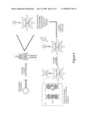 BIOCONJUGATED NANOPARTICLES diagram and image